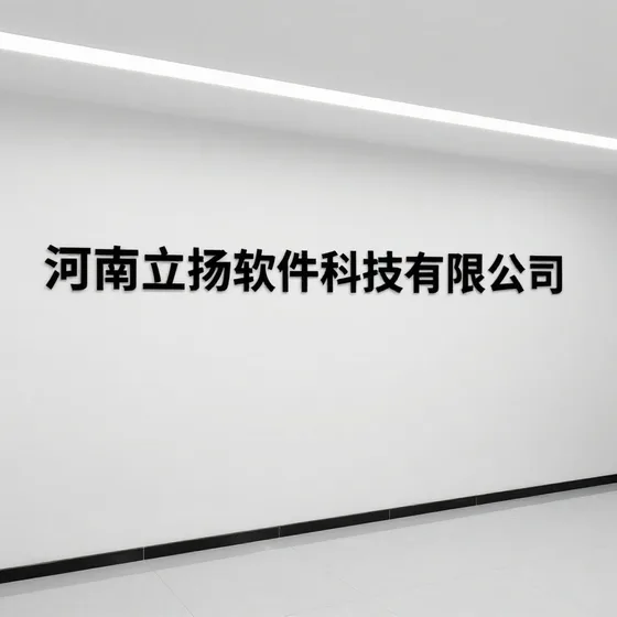河南立扬软件科技有限公司