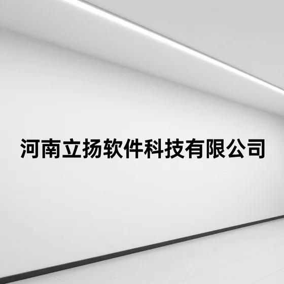 河南立扬软件科技有限公司