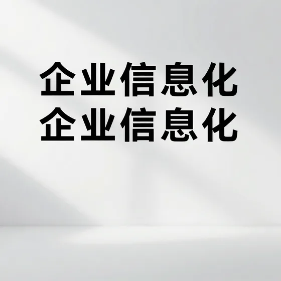 企业信息化